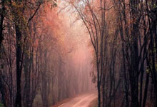 中意空调售后维修中心电话解释中意空调遥控器显示故障代码H8导致因素